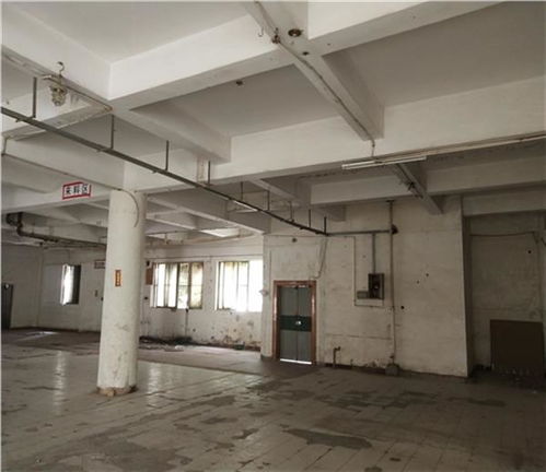 日照市廠房驗廠安全檢測鑒定收費標(biāo)準(zhǔn)解析及建筑材料安全新規(guī)引關(guān)注